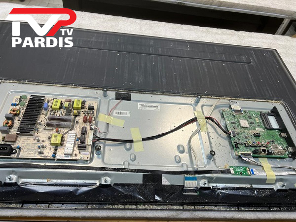 آیا پرنده می تواند به تلویزیون آسیب برساند؟